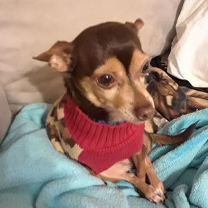 Meet your Posher, Karen